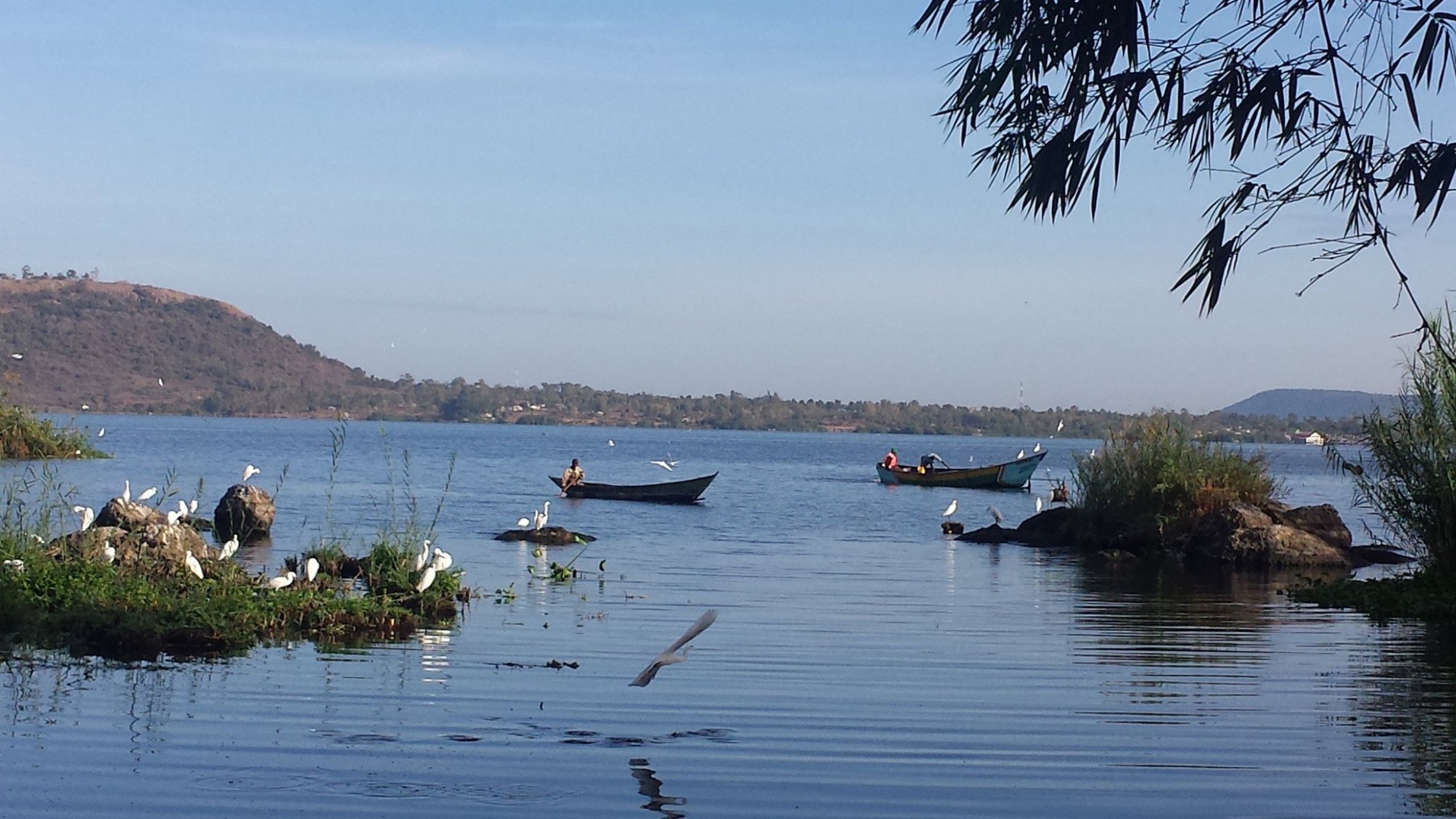 Green Siaya: Over 10,000 Trees Planted in Climate Action Campaign